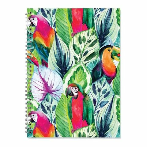 Book - Toucan Birds Spiral Notepad A4 3 Book - Toucan Birds Spiral Notepad A4