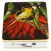 Vista Alegre - Amazonia Card Box Esc