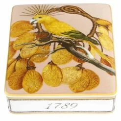 Vista Alegre - Amazonia Card Box Cla