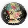 Luxe By Peter's - Phrenology Paperweight 7.8x4x7.8cm