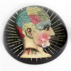 Luxe By Peter's - Phrenology Paperweight 7.8x4x7.8cm
