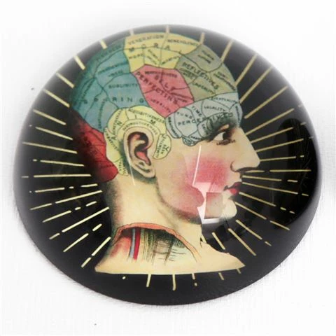 Luxe By Peter's - Phrenology Paperweight 7.8x4x7.8cm 3 Luxe By Peter's - Phrenology Paperweight 7.8x4x7.8cm