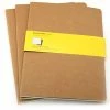 Moleskine - Extra Large Kraft Squared Journal Set